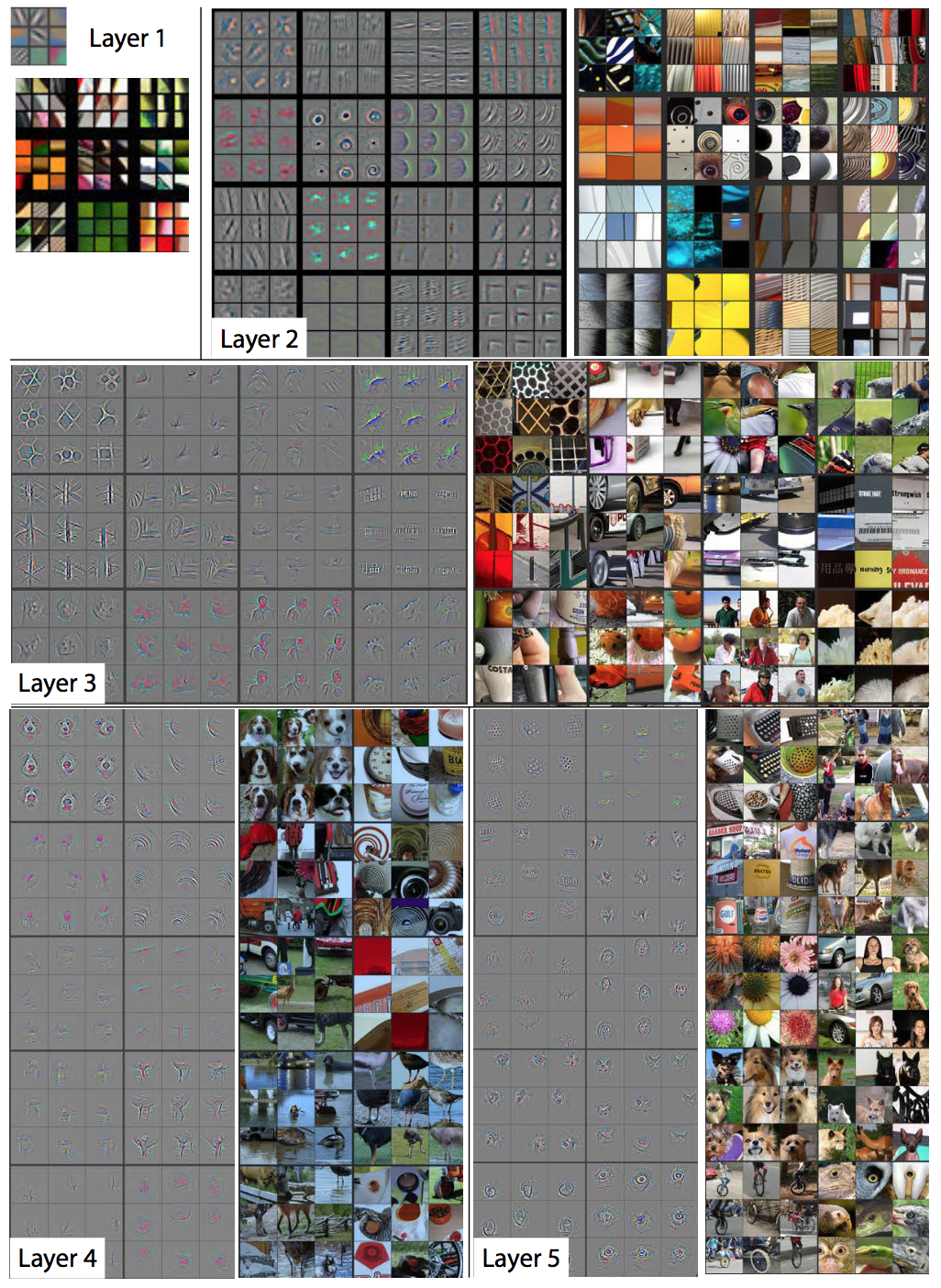 Feature maps for every layer of a CNN  (Zeiler & Fergus 2014)